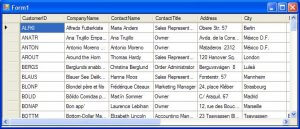 VB Grid